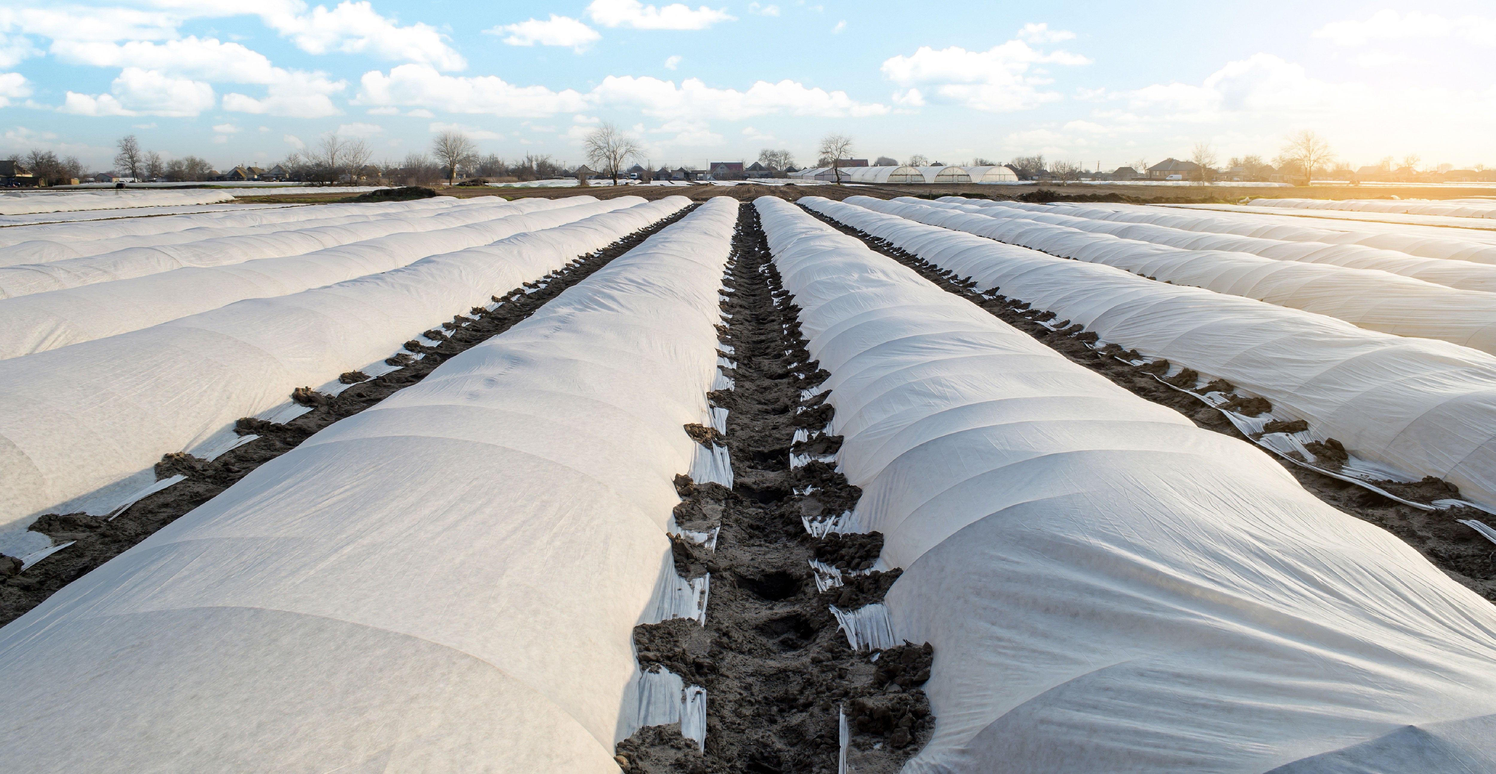 How Crop Covers Improve Yields and Reduce Pesticides.